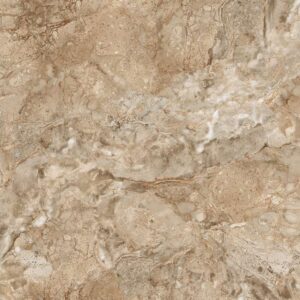 Gạch ốp lát Polish Viglacera 80x80 ECO831