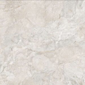 Gạch ốp lát Polish Viglacera 80x80 ECO832