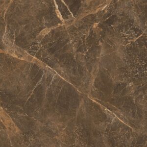 Gạch ốp lát Polish Viglacera 60x120 ECOD61202
