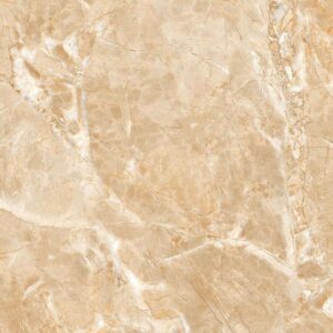 Gạch ốp lát Polish Viglacera 60x120 ECOD61203