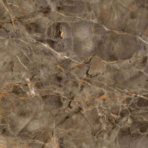 Gạch ốp lát Polish Viglacera 60x120 ECOD61204