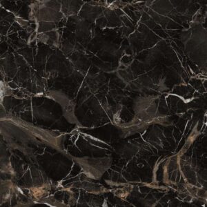 Gạch ốp lát Polish Viglacera 80x80 ECOD801