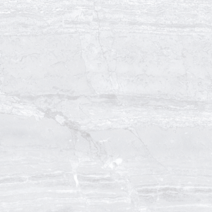 Gạch ốp lát Polish Viglacera 30x60 ECO3637