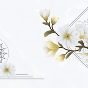 Gạch Hoàn Mỹ Vân mây 40x80 18075