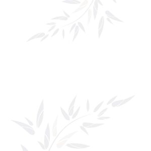 Gạch ốp lát Glossy Viglacera 30x45 B4501