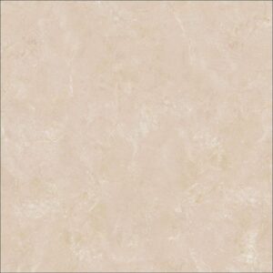 Gạch ốp lát Glossy Viglacera 60x60 B6005
