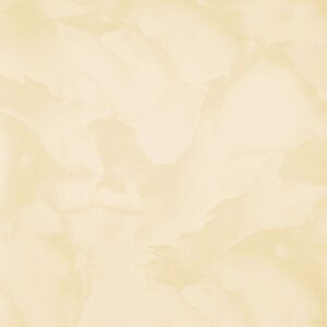 Gạch ốp lát Glossy Viglacera 60x60 B6007