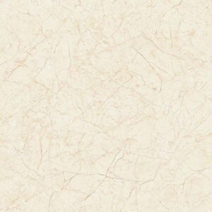 Gạch ốp lát Glossy Viglacera 60x60 B6010