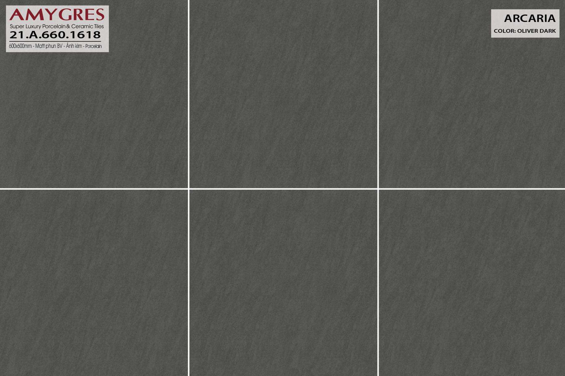 Gạch ốp lát AMYGRES 60x60 ARCARIA 21.A.660.1618