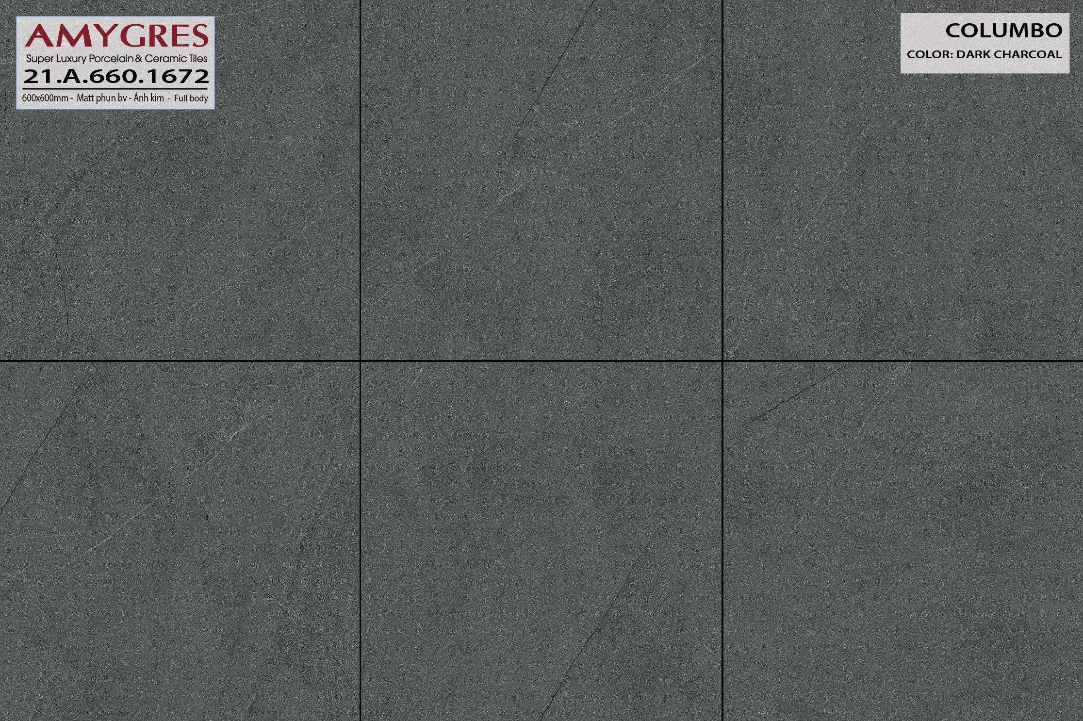 Gạch ốp lát AMYGRES 60x60 COLUMBO 21.A.660.1672 - Ảnh 3