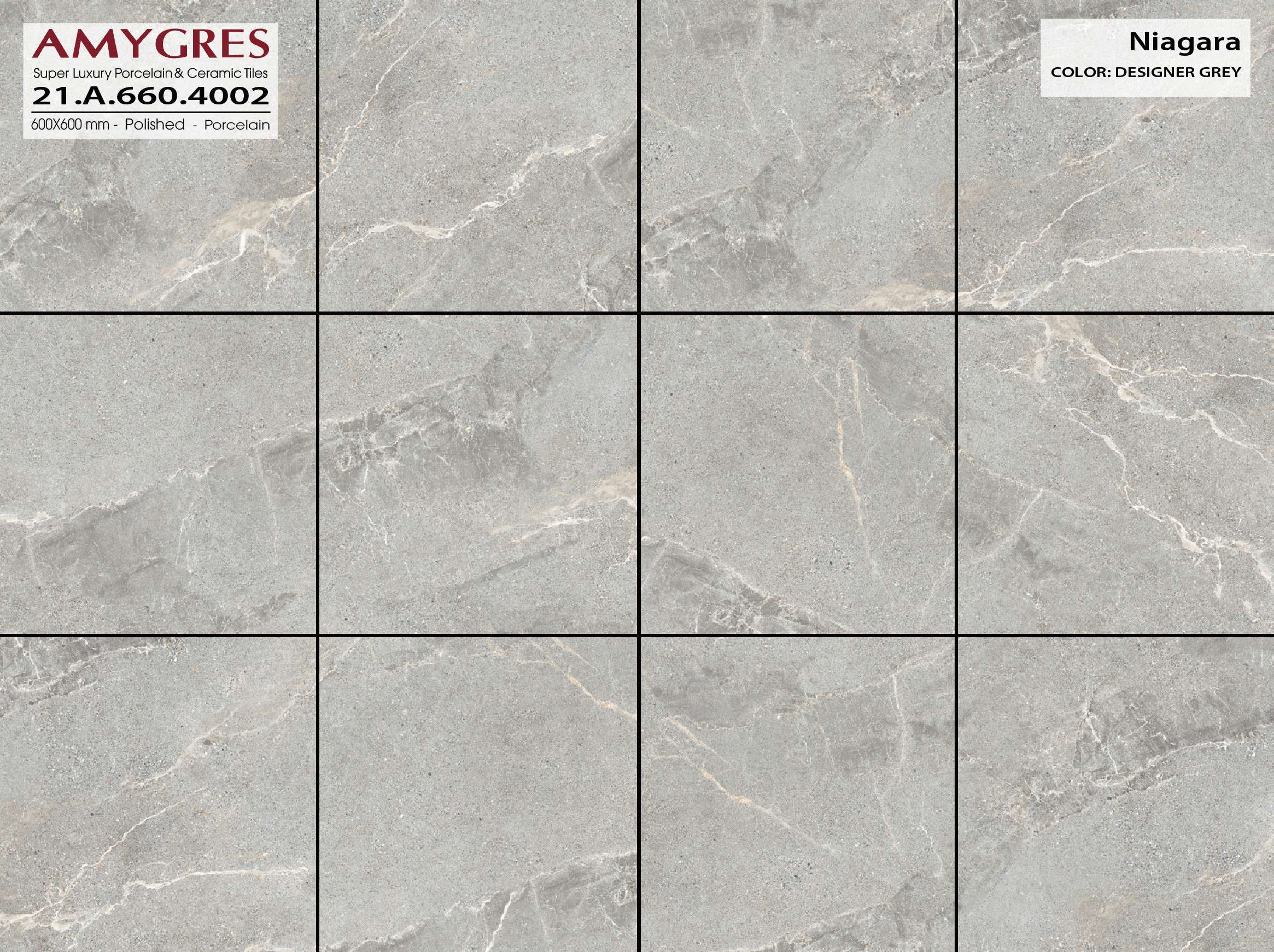 Gạch ốp lát AMYGRES 60x60 NIAGARA 21.A.660.4002 - Ảnh 2
