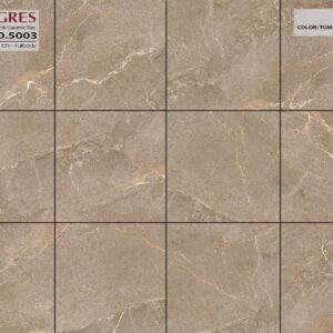 Gạch ốp lát AMYGRES 80x80 NIAGARA 21.A.880.5003