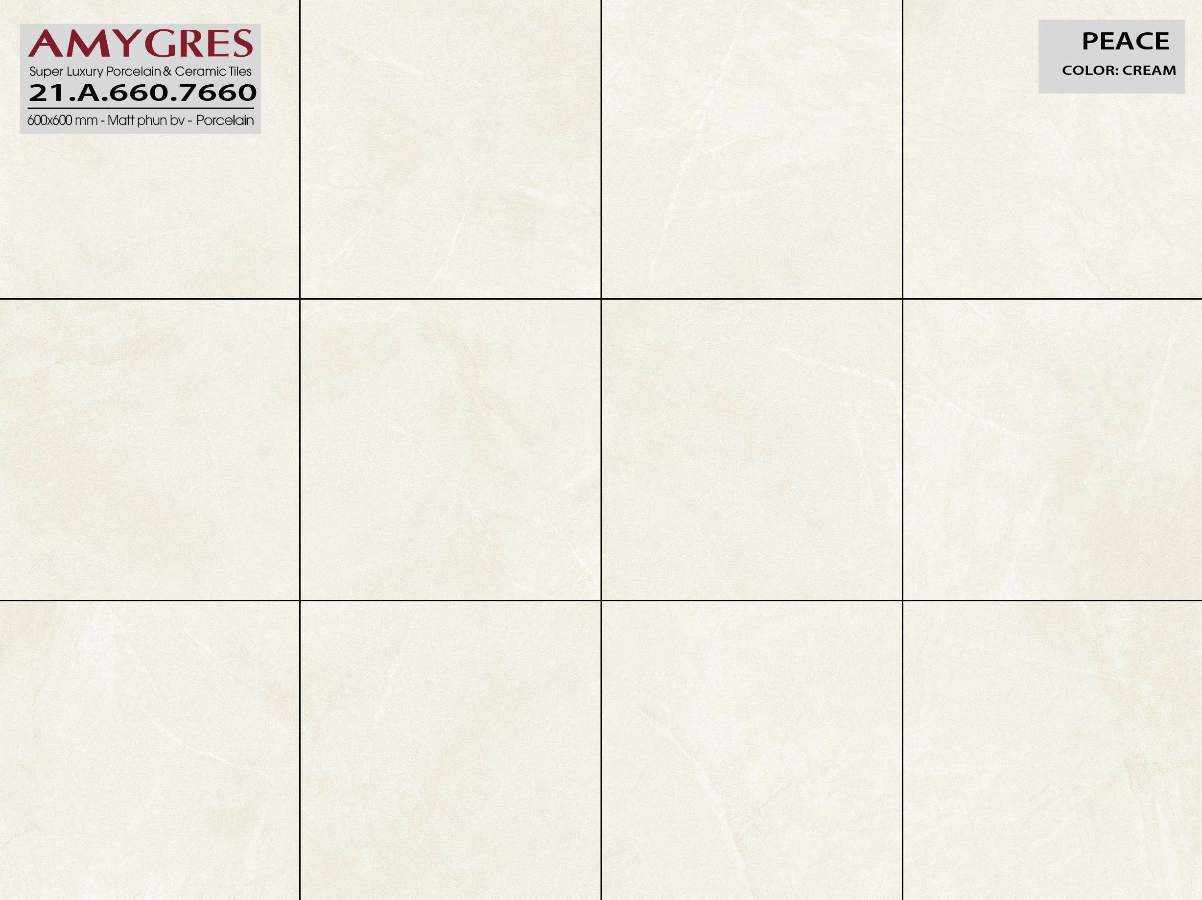 Gạch ốp lát AMYGRES 60x60 Peace 21.A.660.7660 - Ảnh 2