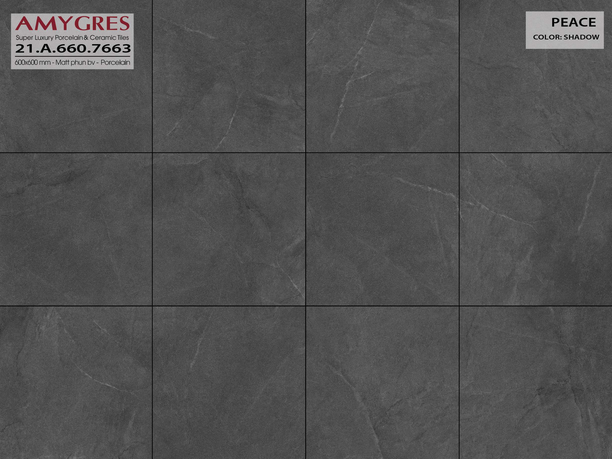 Gạch ốp lát AMYGRES 60x60 Peace 21.A.660.7663