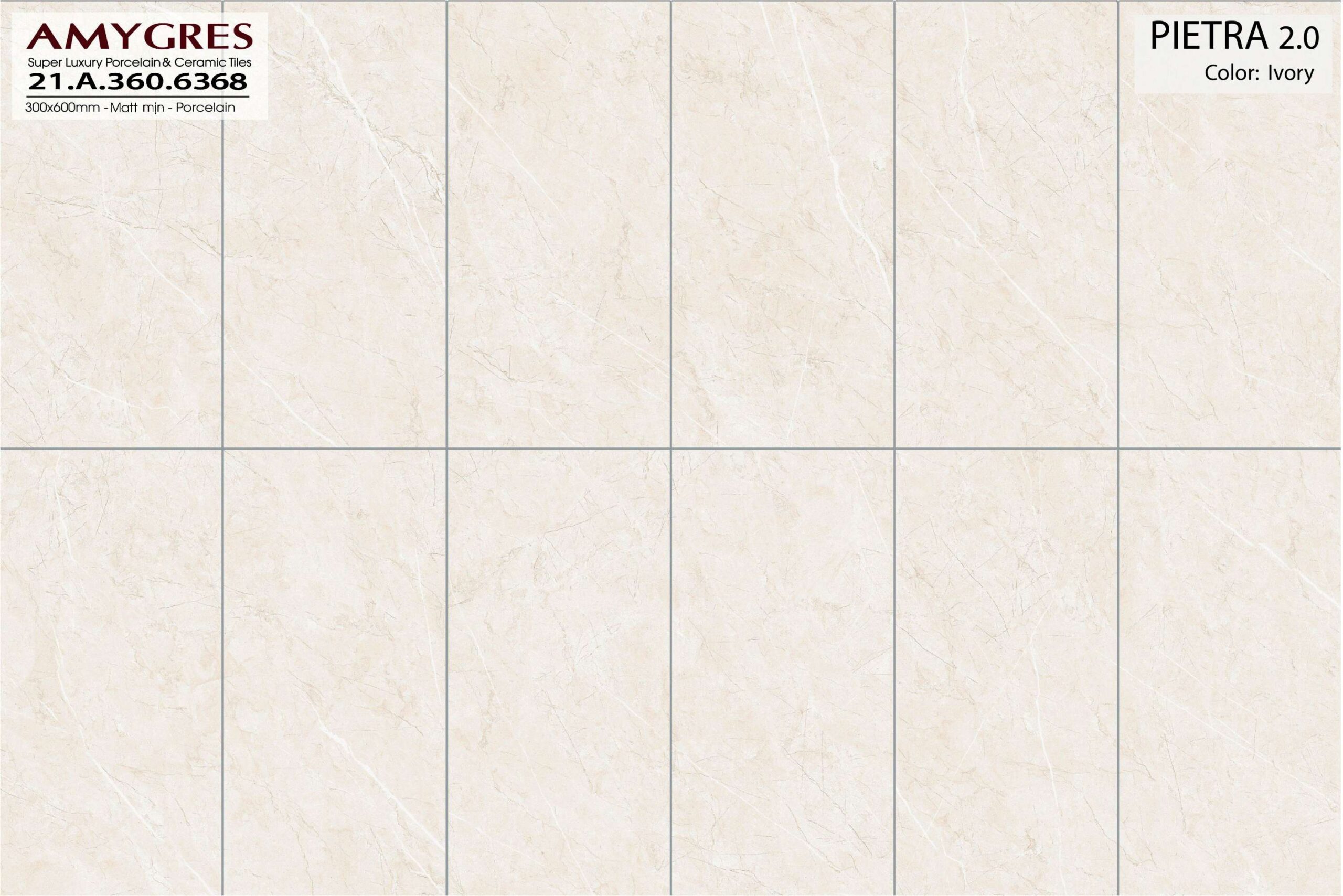 Gạch ốp lát AMYGRES 30x60 Pieatra 2.0 21.A.360.6368 - Ảnh 2