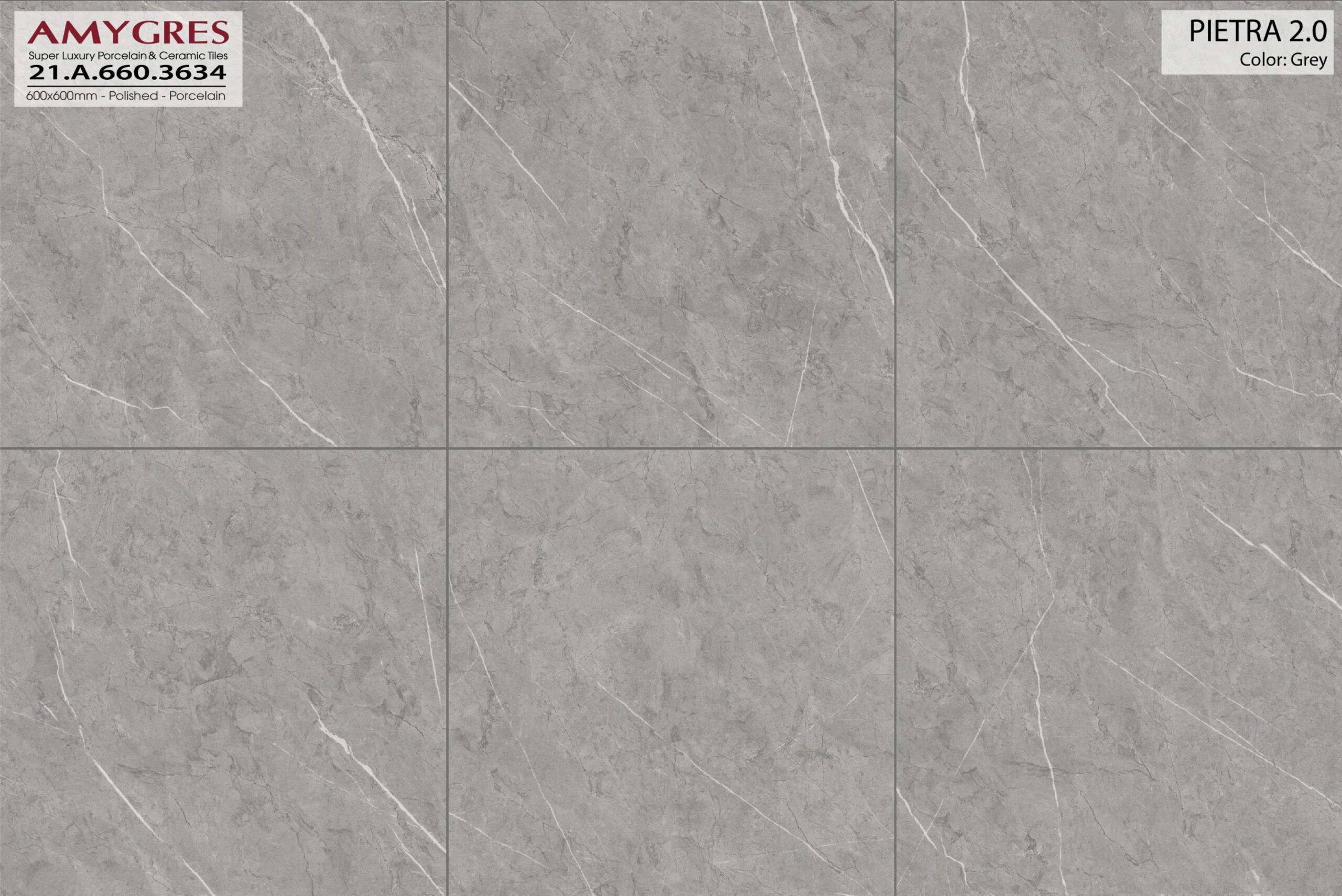 Gạch ốp lát AMYGRES 60x60 Pieatra 2.0 21.A.660.3634 - Ảnh 2