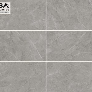 Gạch ốp lát Irisa 30x60 PIEATRA 21.E.360.9195