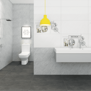 Gạch ốp lát AMYGRES 40x80 Solo 21.A.480.3003