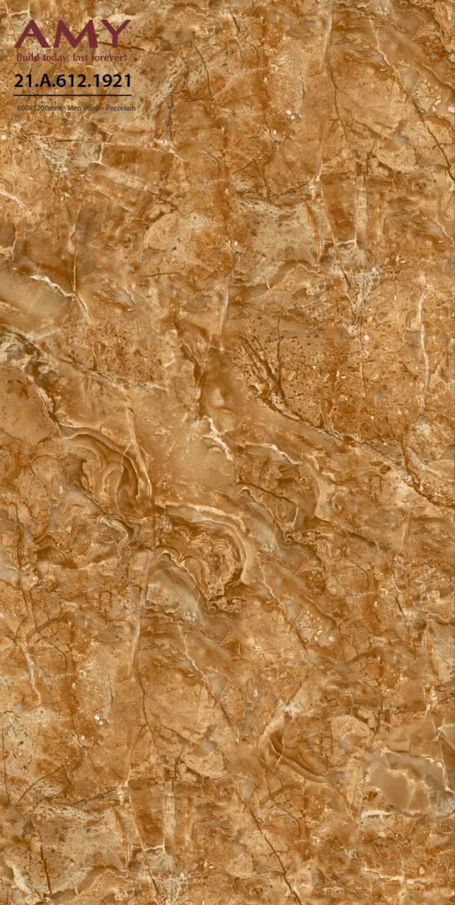 Gạch ốp lát AMYGRES 60x120 Solo 21.A.612.1921 - Ảnh 3