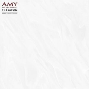 Gạch ốp lát AMYGRES 60x60 Solo 21.A.660.5624