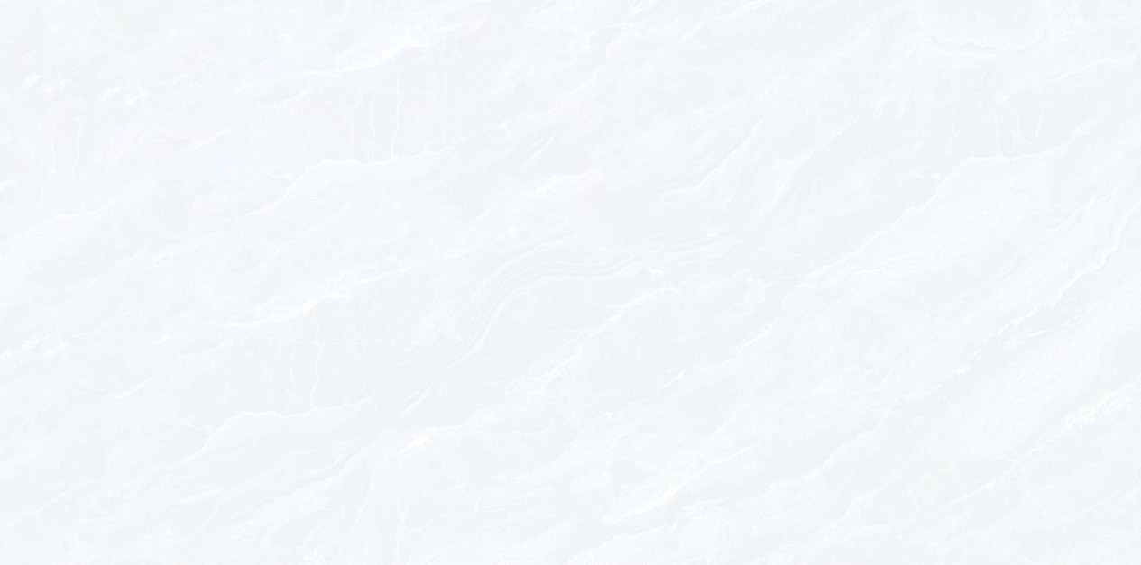 Gạch ốp lát Lorenzo Bernini 40x80 Solo 21.B.480.5011 - Ảnh 2