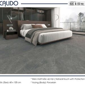 Gạch ốp lát CALIDO 60x120 Solo 21.C.612.5253