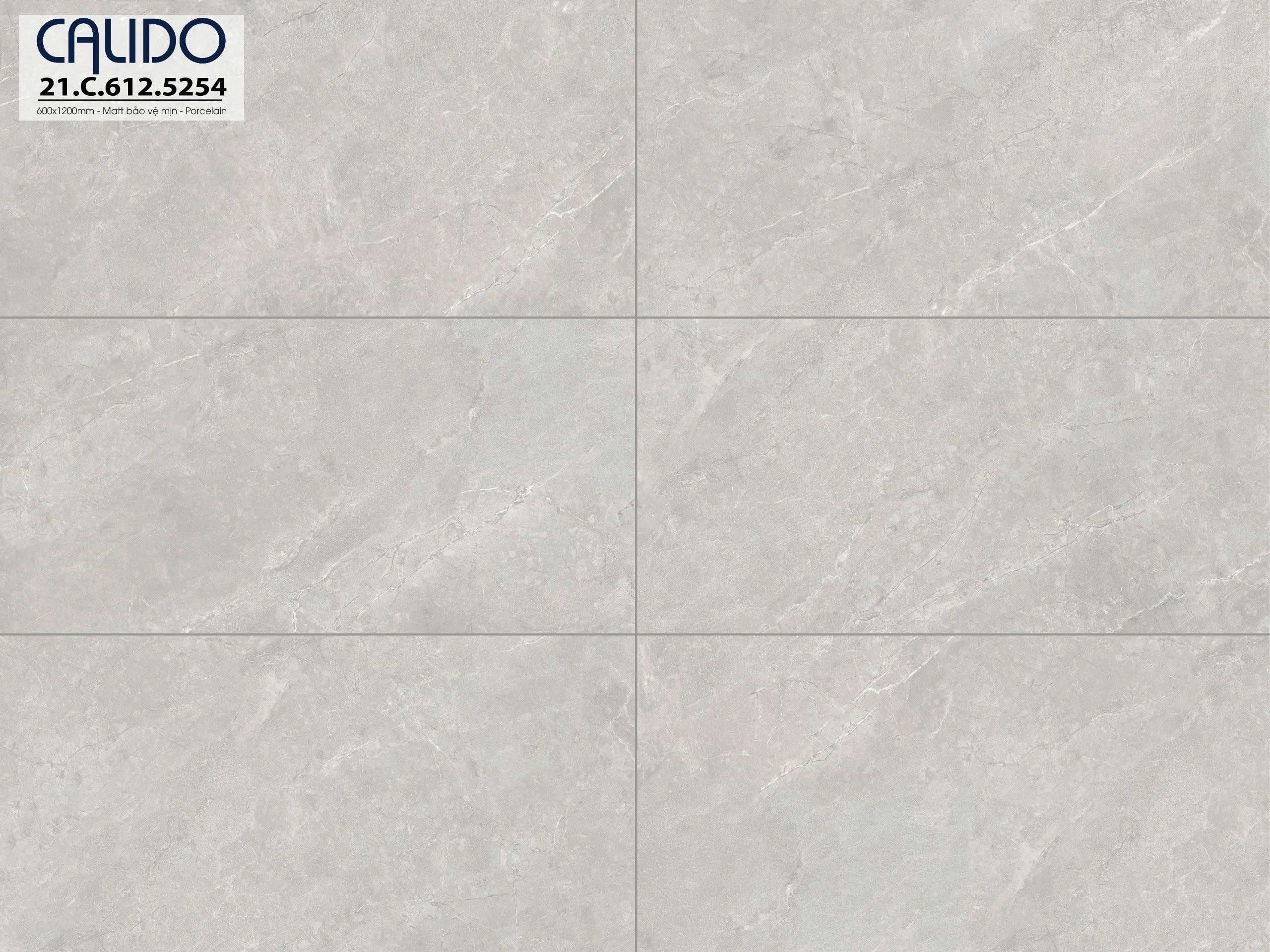 Gạch ốp lát CALIDO 60x120 Solo 21.C.612.5254