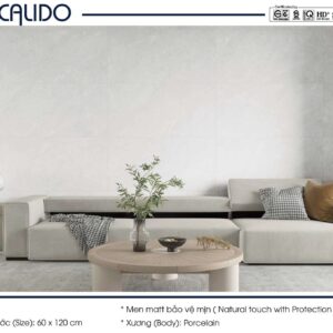 Gạch ốp lát CALIDO 60x120 Solo 21.C.612.5255