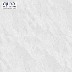 Gạch ốp lát CALIDO 60x60 Solo 21.C.660.3946