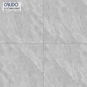 Gạch ốp lát CALIDO 60x60 Solo 21.C.660.3947