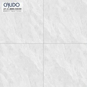 Gạch ốp lát CALIDO 80x80 Solo 21.C.880.5039