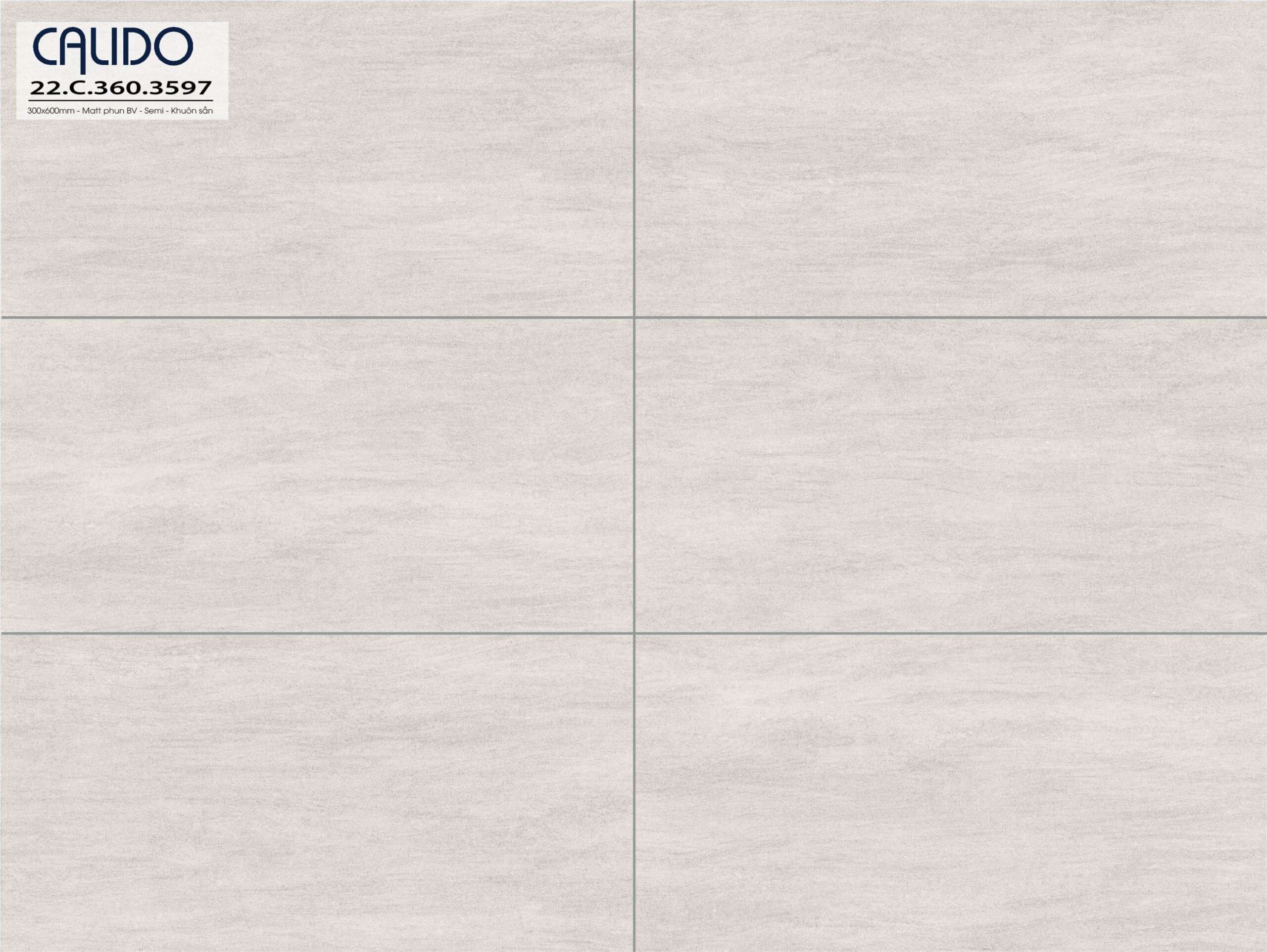 Gạch ốp lát CALIDO 30x60 Solo 22.C.360.3597 - Ảnh 3