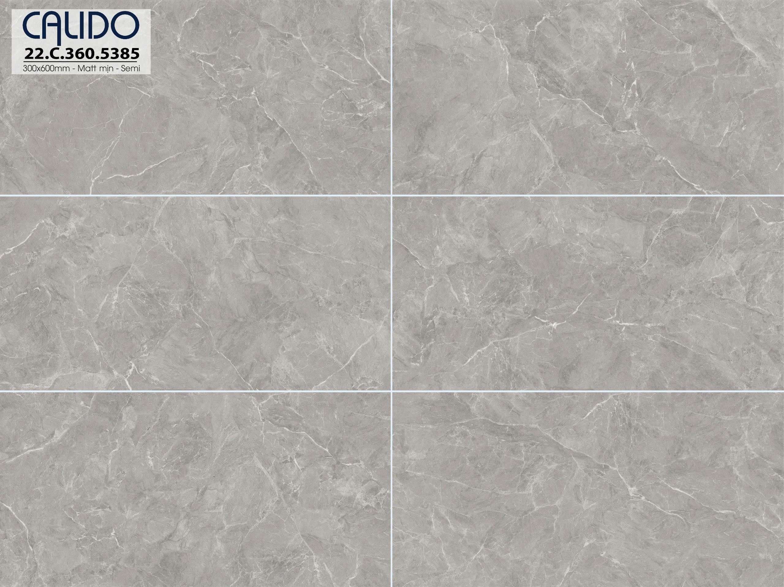 Gạch ốp lát CALIDO 30x60 Solo 22.C.360.5385 - Ảnh 3