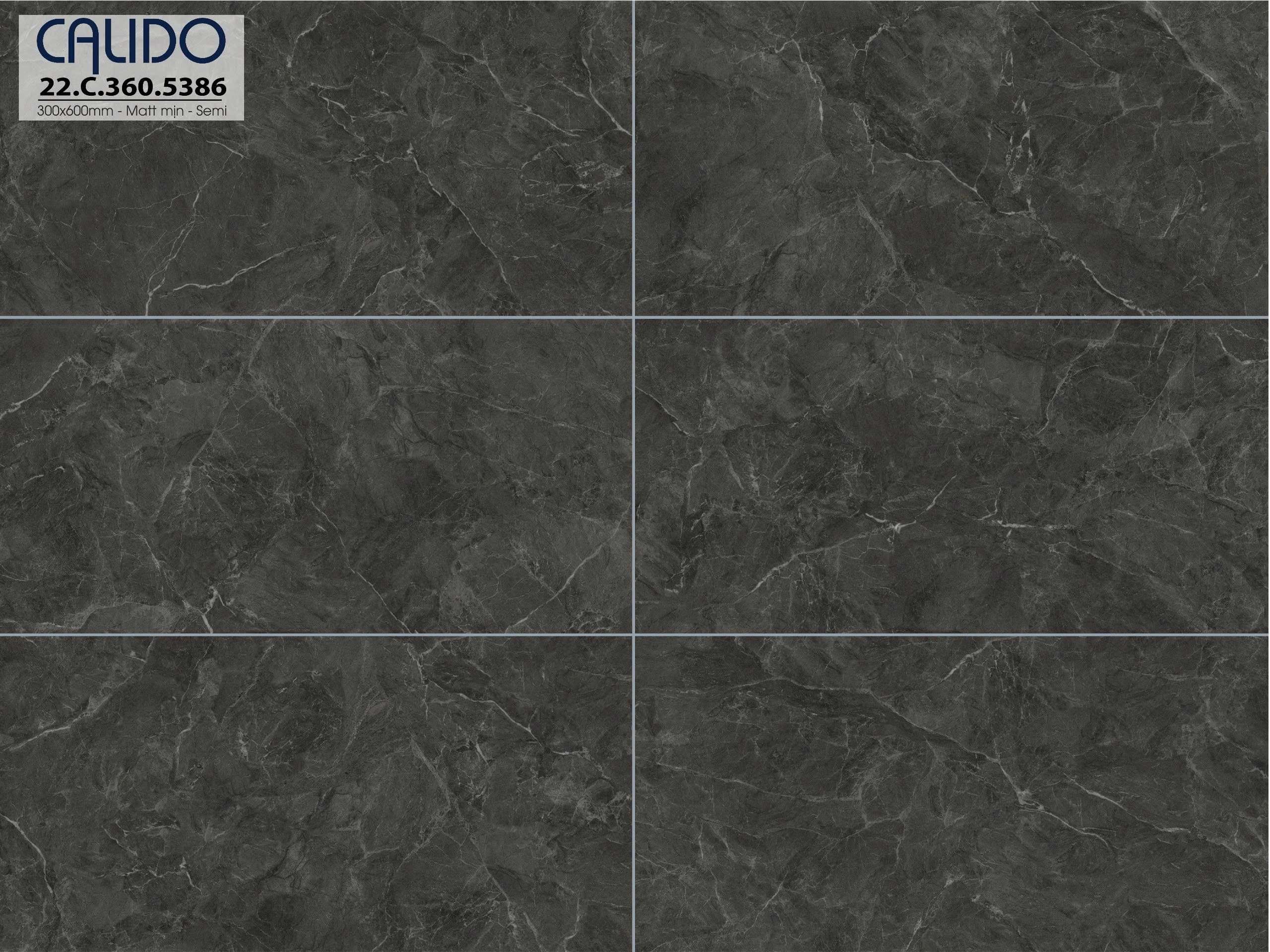 Gạch ốp lát CALIDO 30x60 Solo 22.C.360.5386 - Ảnh 2