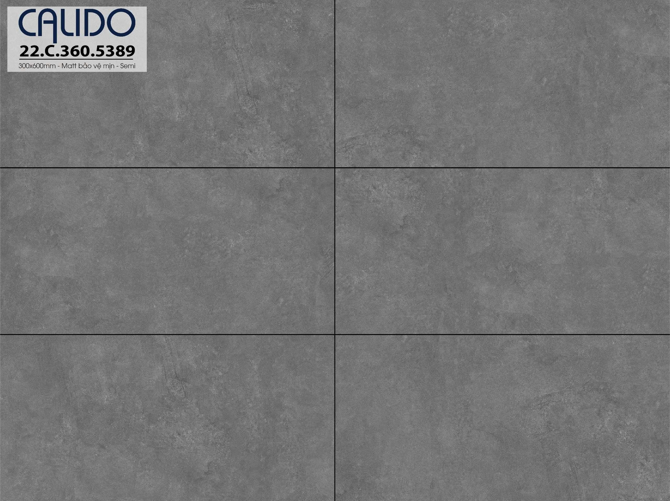 Gạch ốp lát CALIDO 30x60 Solo 22.C.360.5389 - Ảnh 2