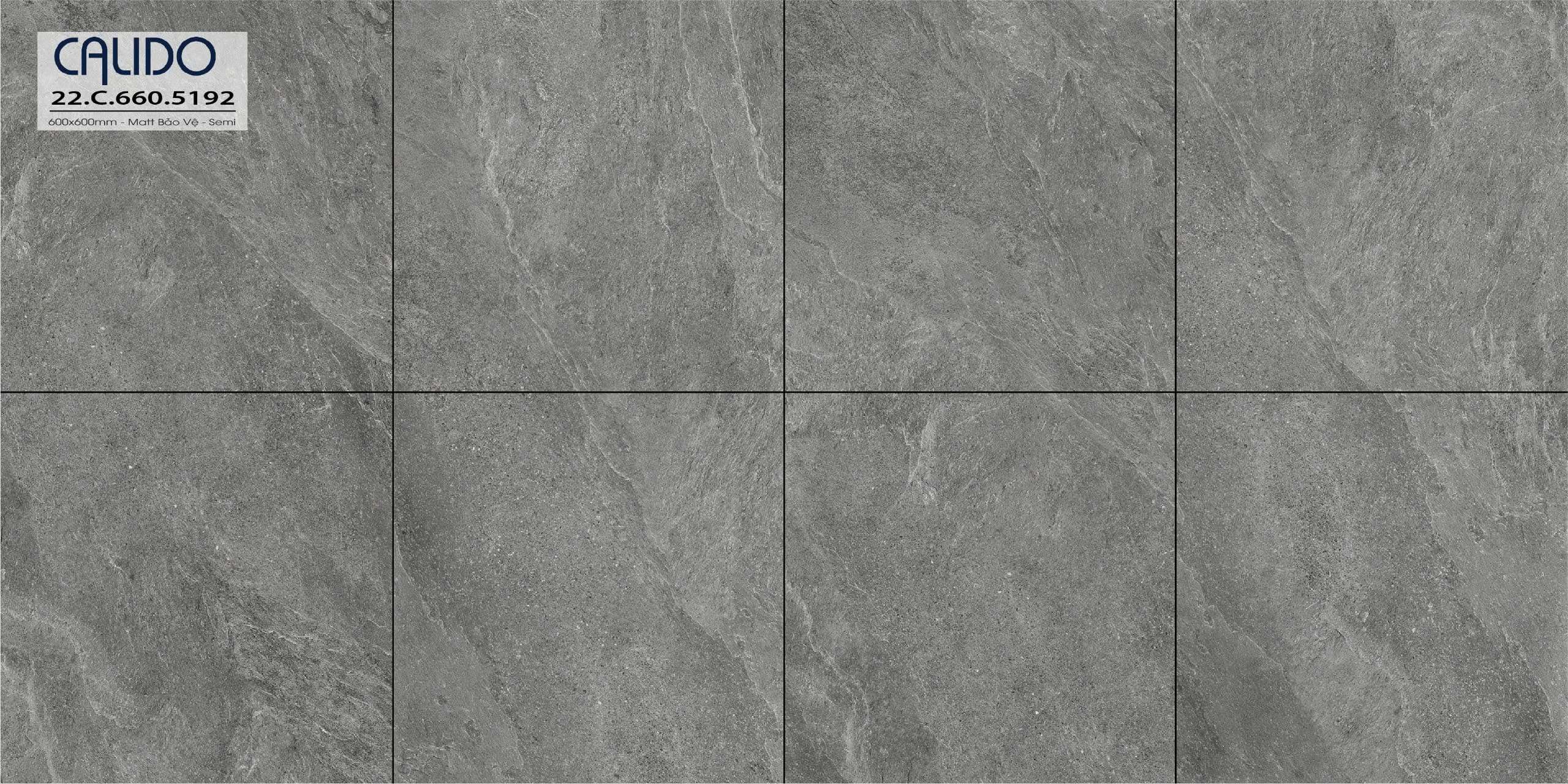 Gạch ốp lát CALIDO 60x60 Solo 22.C.660.5192 - Ảnh 2