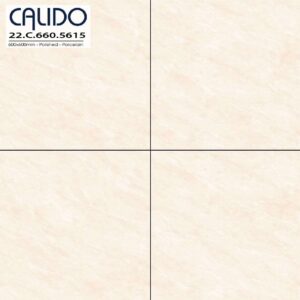 Gạch ốp lát CALIDO 60x60 Solo 22.C.660.5615