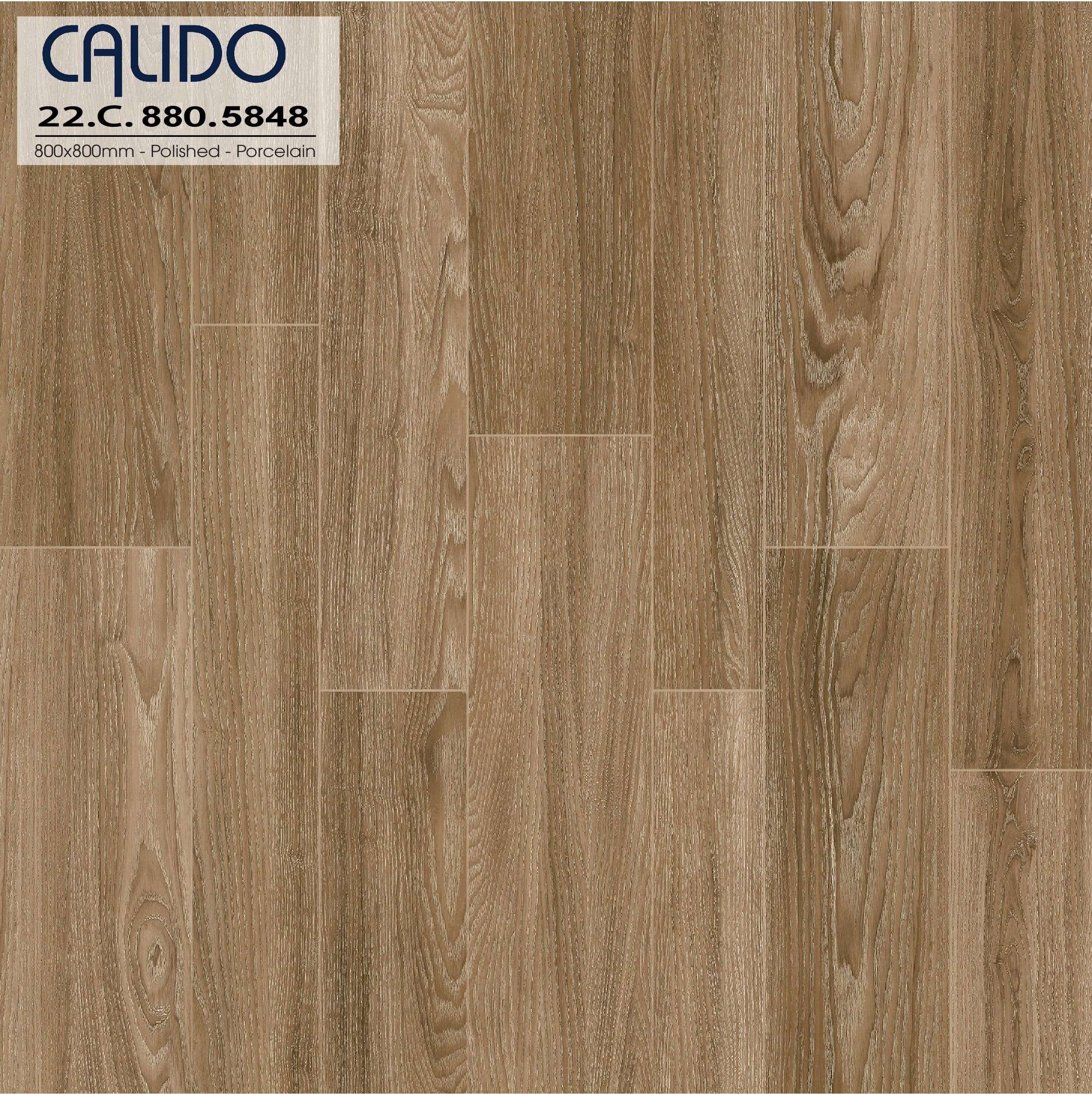 Gạch ốp lát Calido 80x80 Solo 22.C.880.5848