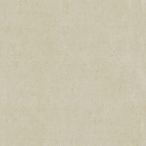 Gạch ốp lát Matt Viglacera 60x60 BS6602