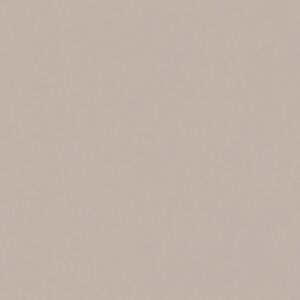 Gạch ốp lát Polish Viglacera 60x60 CB-PT6601