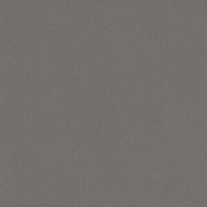 Gạch ốp lát Polish Viglacera 60x60 CB-PT6602