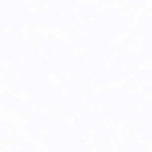 Gạch Hoàn Mỹ Màu trắng 60x60 08512