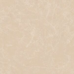 Gạch ốp lát Glossy Viglacera 50x50 CL-CE504