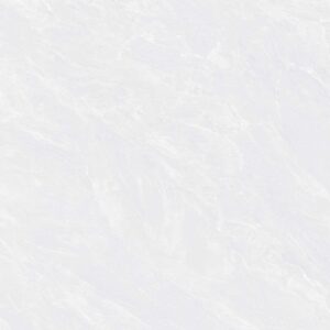 Gạch ốp lát Polished Viglacera 120x120 CL2-P121201