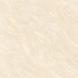 Gạch ốp lát Polished Viglacera 120x120 CL2-P121204