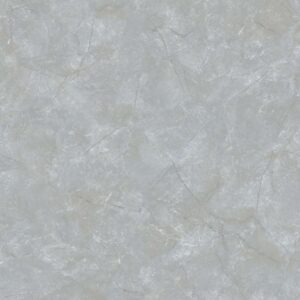 Gạch ốp lát Glossy Viglacera 30x60 CL3610