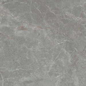 Gạch ốp lát Glossy Viglacera 30x60 CL364