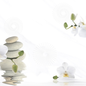 Gạch Hoàn Mỹ Vân calacatta 40x80 04822