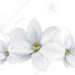 Gạch Hoàn Mỹ Vân calacatta 40x80 20033