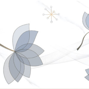 Gạch Hoàn Mỹ Vân calacatta 40x80 08902